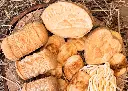 IMG_7872.webp